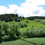 мечта Guest house 3*