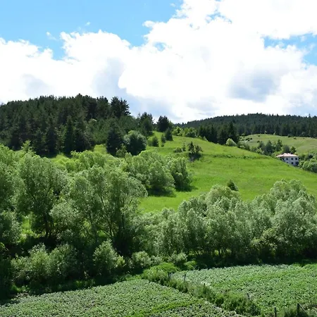 мечта Guest house 3*