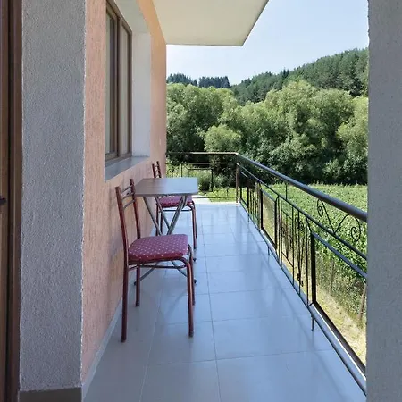 мечта Guest house 3*