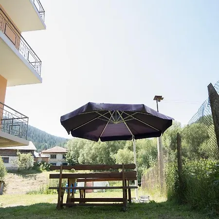 мечта Guest house
