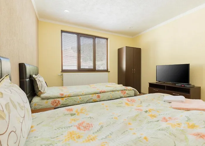 мечта ゲストハウス