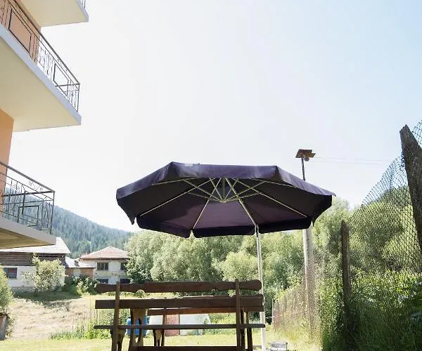 мечта ゲストハウス